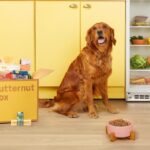 Butternut Box wolfs down $354M for subscription canine cuisine