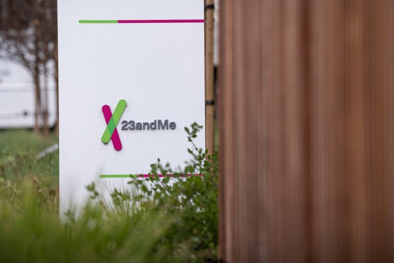 23andMe says hackers accessed 'significant number' of files about users' ancestry